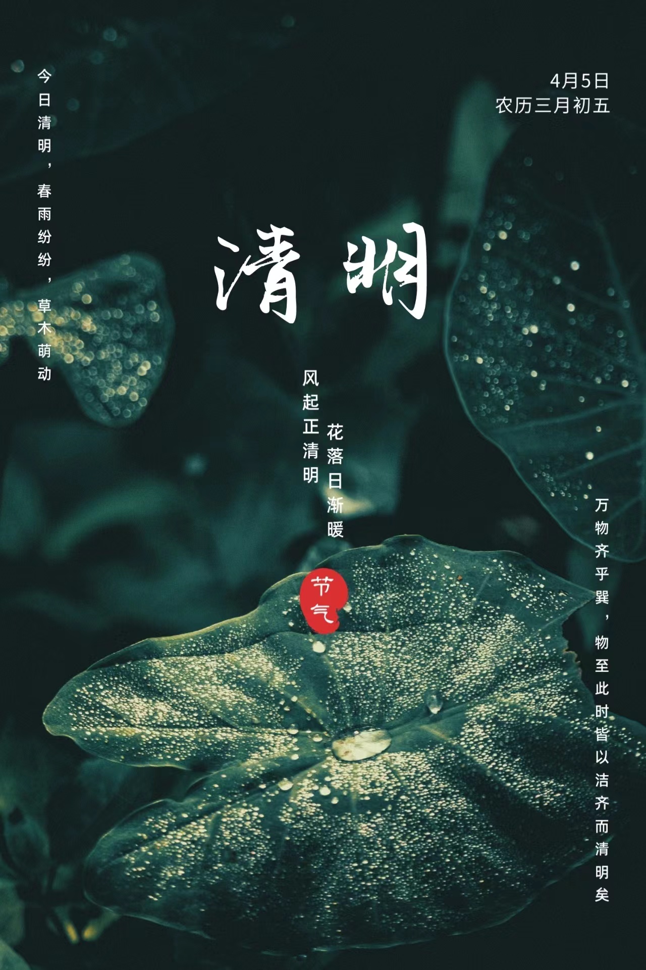 微信图片_20230405114741.jpg